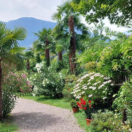 Nora S Home 1 - Panoramic Terrace & Bio Garden Meran Exterior foto