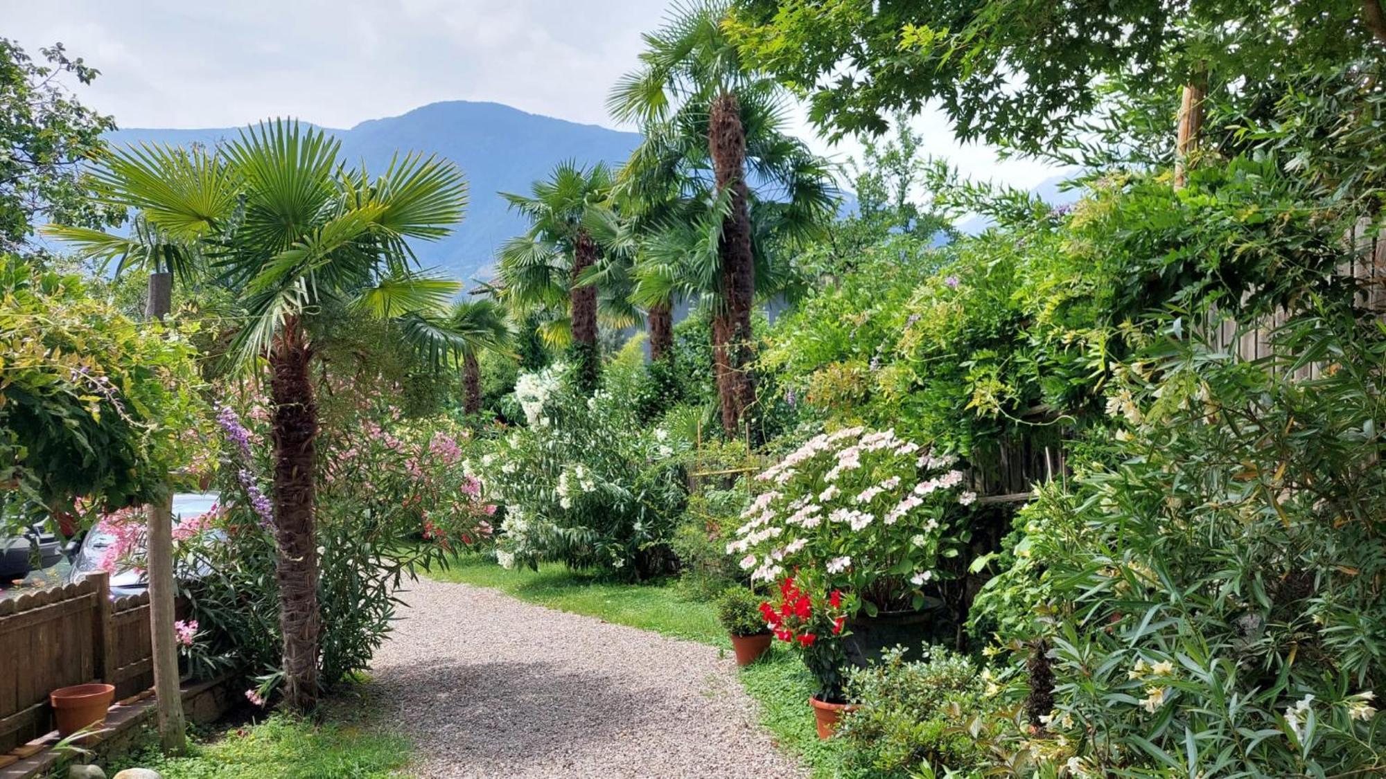 Nora S Home 1 - Panoramic Terrace & Bio Garden Meran Exterior foto